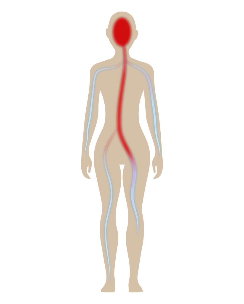 Blutzirkulation: Blut wird durch die Eytremkälte in die Körpermitte geleitet.